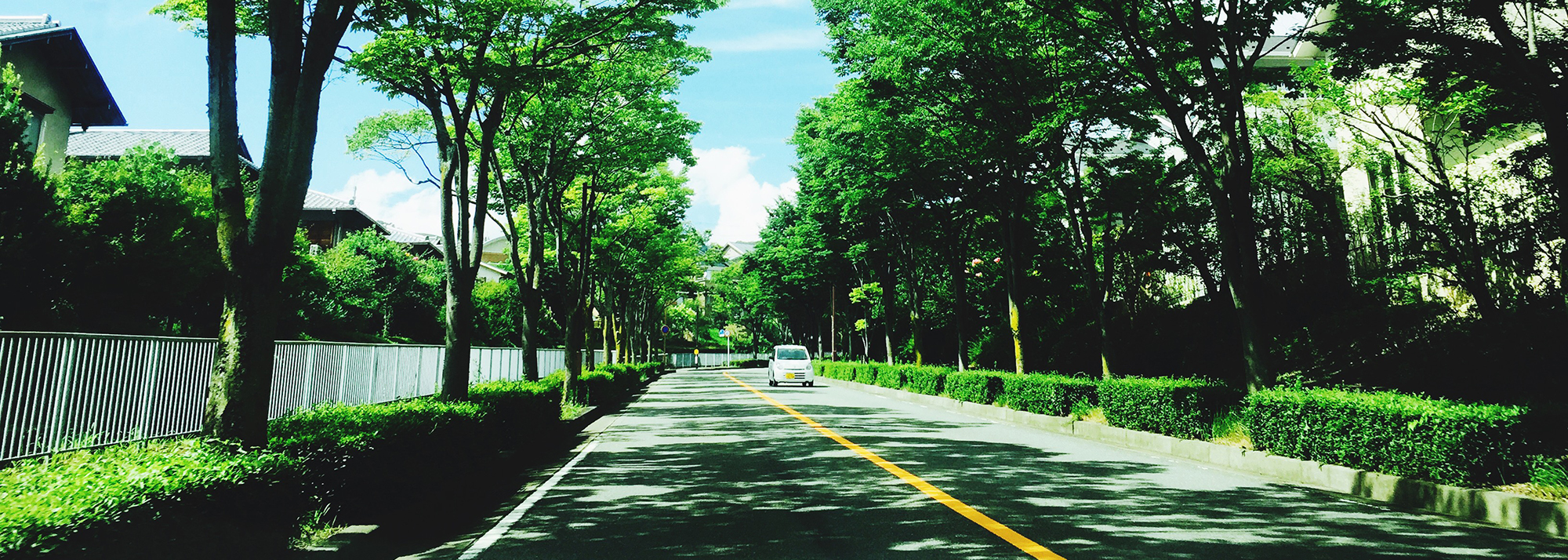 スポーツプロジェクト